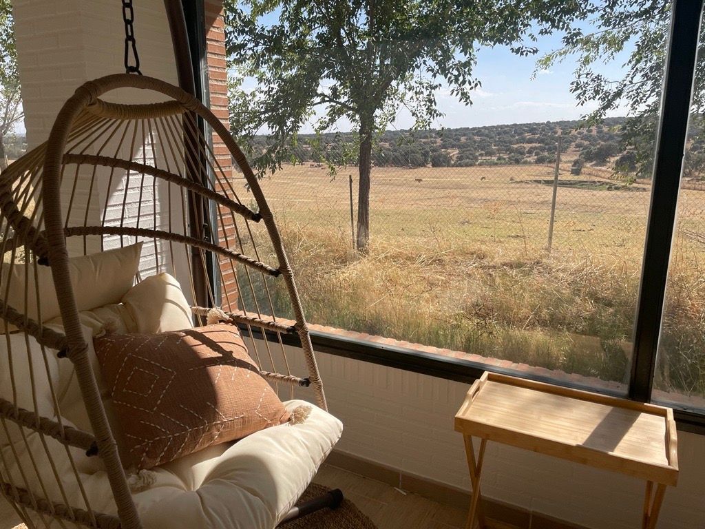 Hanging egg chair with cushions looking out to countryside view
