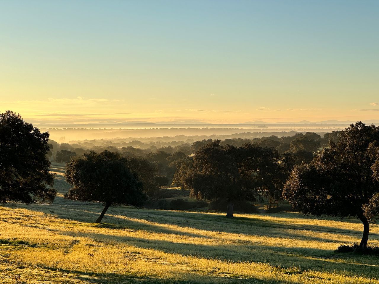 Things to Do in the Sierra de San Vicente: A Remote Worker's Guide