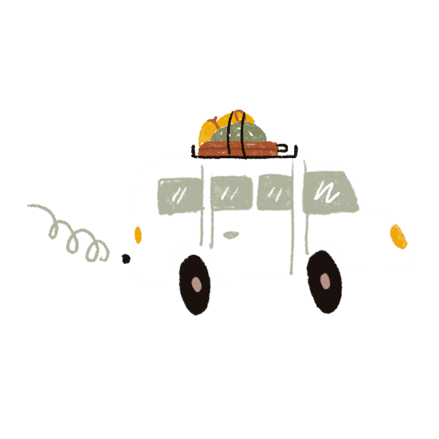 By Bus