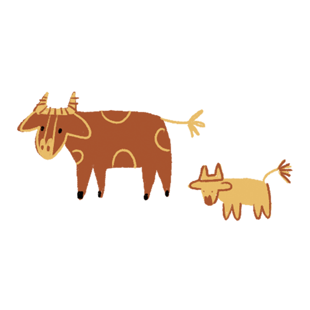 Local cow