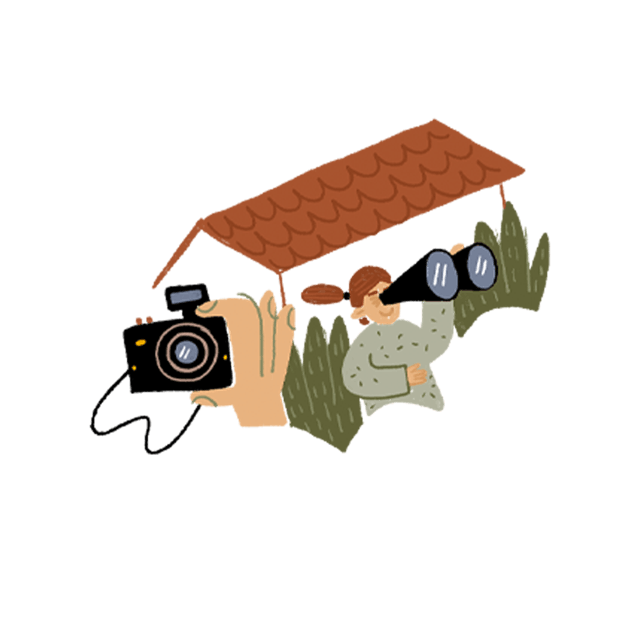 Video Call