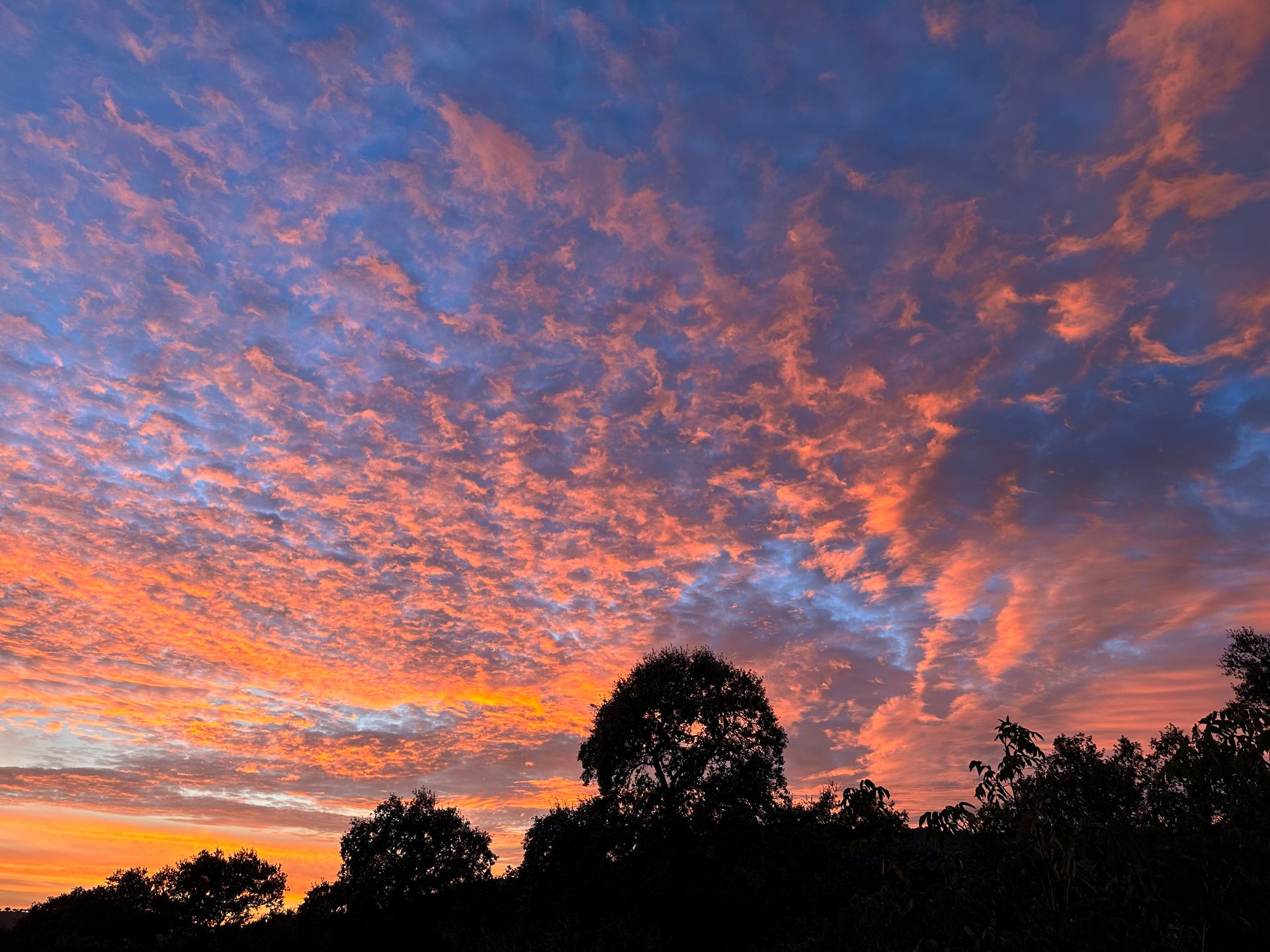 Rosa und orange Wolken über der Steineichen-Dehesa bei Sonnenuntergang nahe Nuño Gómez