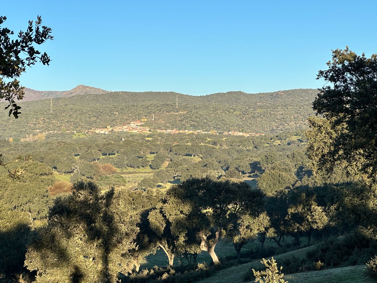 Blick über das eichenbewachsene Tal auf Nuño Gómez, dahinter die Sierra de San Vicente