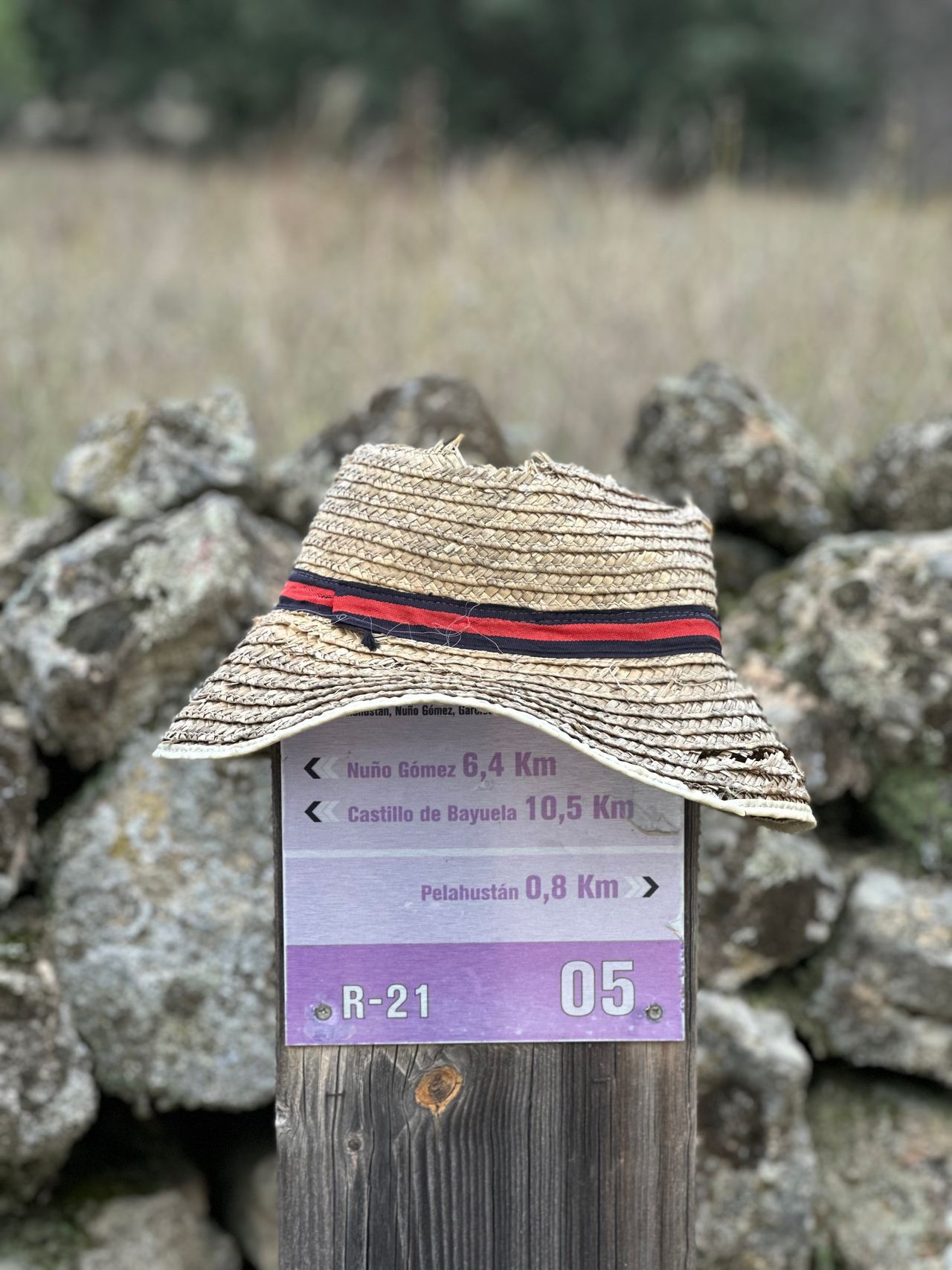 Ein Strohhut auf einem Wegweiser der Route R-21, beschriftet mit Pelahustán, Nuño Gómez und Castillo de Bayuela