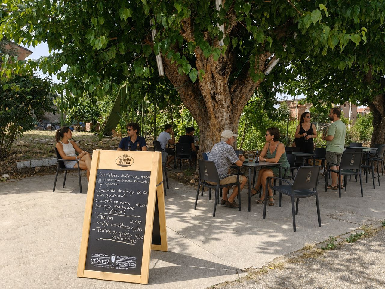 The terrace in the shade of the mulberry tree, with the day's specials chalkboard and tables full of guests